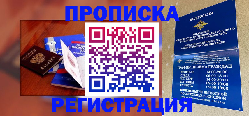 временная регистрация для школы в Бердске